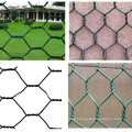 PVC Coated Chicken Wire Mesh/Hexagonal Wire Netting